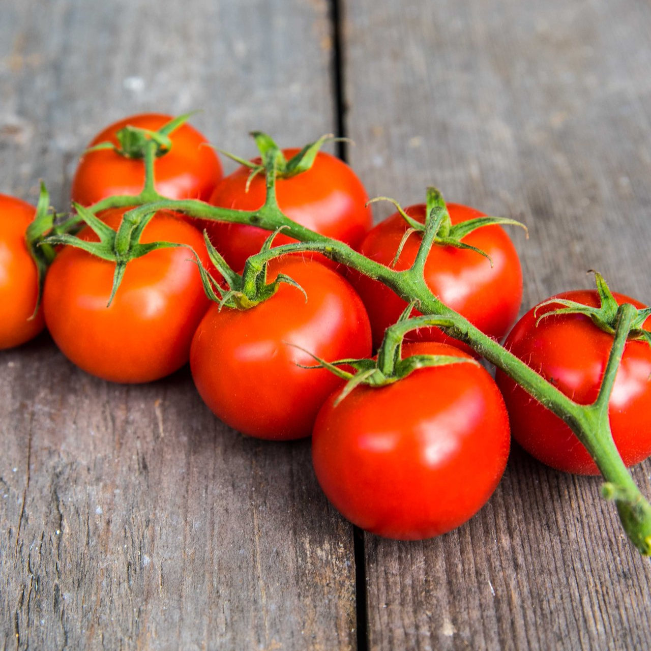 Cherrytomat på gren 250 g ØKO